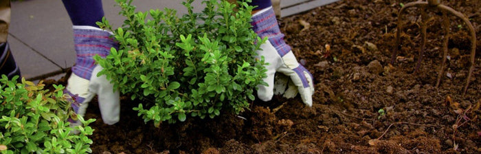 ADVIES OP MAAT? KIES VOOR ECOSTYLE PROFESSIONAL