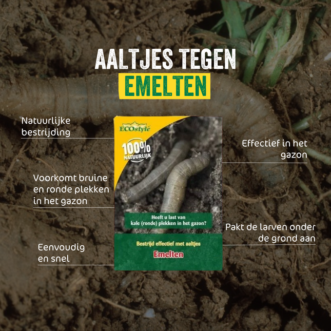 Aaltjes tegen emelten (250 mln.) Professional