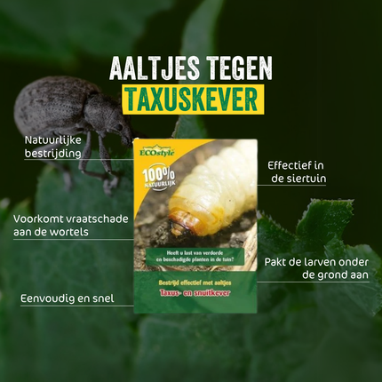 Aaltjes tegen taxuskever (250 mln.) Professional