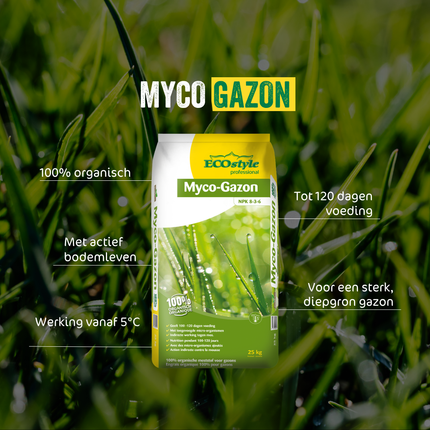 Myco-Gazon
