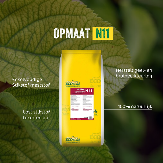 OpMaat N11