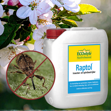 Raptol