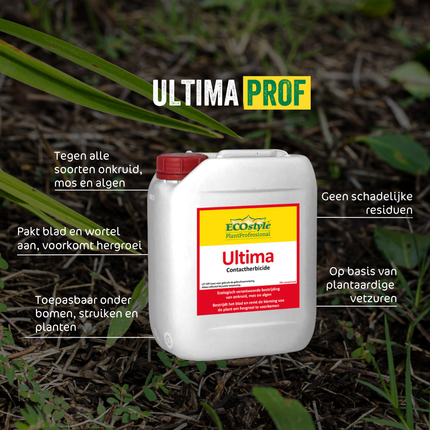 Ultima Prof