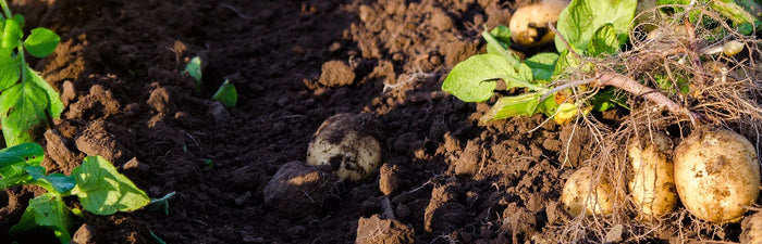 Producten voor de land- en tuinbouw